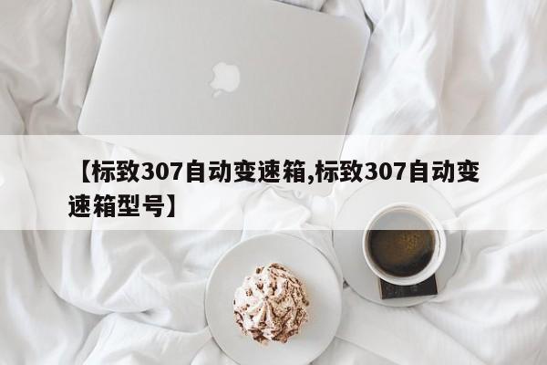 【标致307自动变速箱,标致307自动变速箱型号】